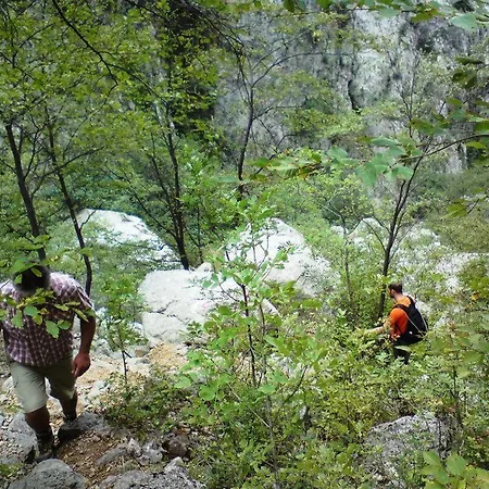 Baric Apartamento Nin