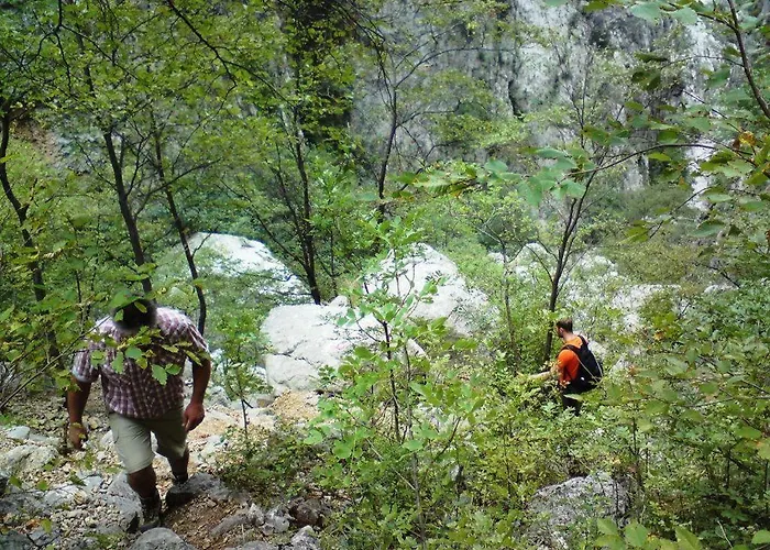 Baric Апартаменты Нин